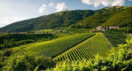 ''Il Consorzio di Tutela Conegliano-Valdobbiadene Prosecco tuteli il nostro nome. Siamo pronti a chiedere i danni''