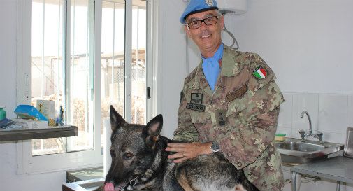 Un veterinario nel paese dei cedri