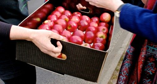 Truffa della frutta andata a segno a Motta