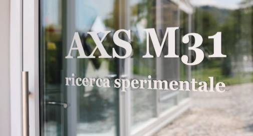 AXS M31