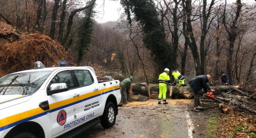 Valdobbiadene, albero caduto lungo la sp 36 a Guia, occhi puntati sulla Teva (Video)