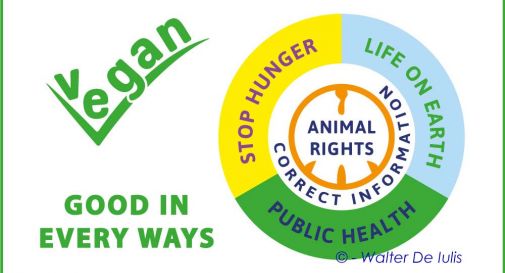 Vegan - Good in every ways