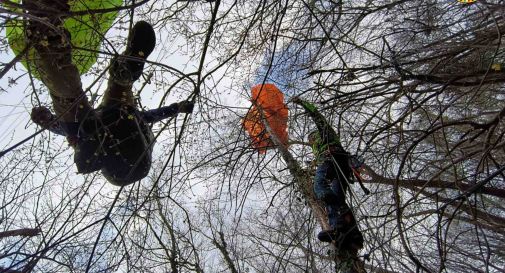 Borso, pilota di parapendio rimane sospeso sull'albero