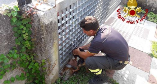 l'intervento di oggi a Castelfranco