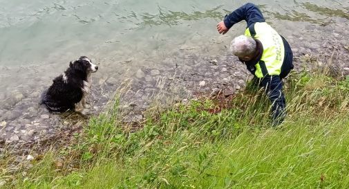 Maltempo a Vittorio Veneto, cane bloccato nel lago: aveva le zampe posteriori paralizzate