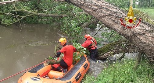 Maltempo a Roncade, l'albero finisce nel fiume