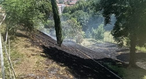 Vittorio Veneto, incendio all'appezzamento di terreno: spento dai  presenti