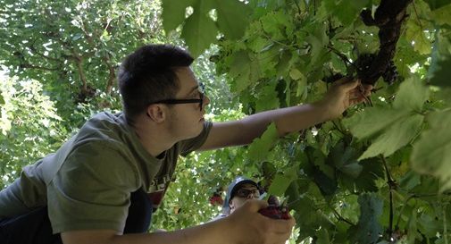 Vazzola, ecco la con i ragazzi dell’Associazione Italiana Persone Down