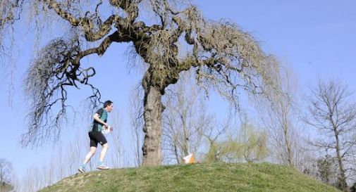 Orienteering, Giovanelli la spunta su Bazan e De Noni