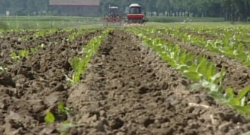 Su dieci aziende agricole solo una arriva alla terza generazione