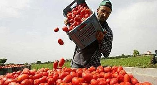 Migranti-agricoltori, apre a Pisa il primo mercato dei profughi della Coldiretti 