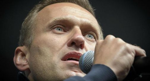 navalny putin vittorio veneto