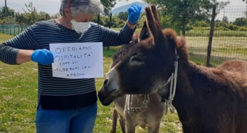 Via libera agli agriturismi per il pernottamento