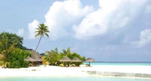 Cercasi libraio su un'isola delle Maldive