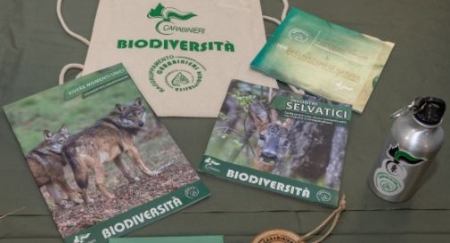 “Befana della Biodiversità”: i Carabinieri Forestati di Vittorio Veneto in ospedale a Treviso