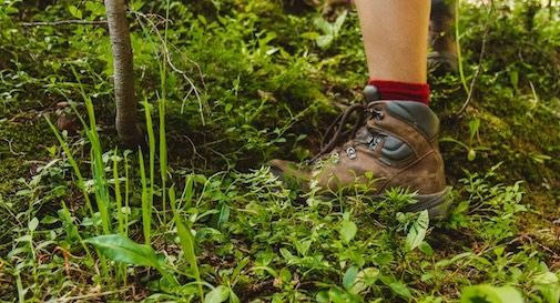 Malore fatale mentre cerca funghi: 70enne muore nel bosco a Miane