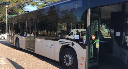 Baby gang inneggia contro la autista del bus di linea: 