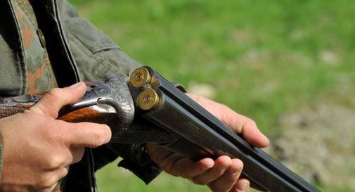 Segue la lepre nel campo sportivo e spara, un passante rischia di essere colpito dai pallini