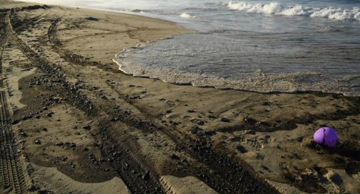 Marea nera in California, rischio disastro ecologico