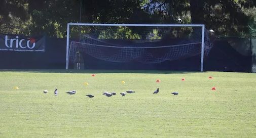 campo da calcio