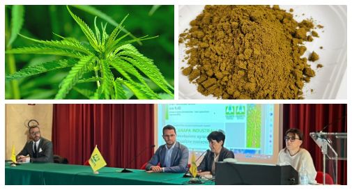 La canapa industriale: sperimentazione agronomica e utilizzazione zootecnica