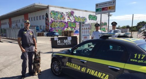 Finanza coi cani antidroga all’Home Festival, quasi cento segnalati 