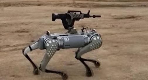 Cani robot pronti ad uccidere, Cina trasforma migliori amici dell'uomo in macchine da guerra - Video