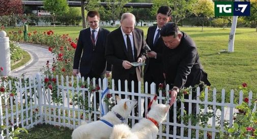 Due cani per Putin, Kim regala una coppia di Pungsan al leader russo