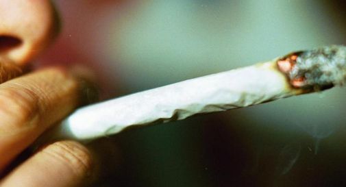 Malta introduce la legge sull'uso ricreativo della cannabis