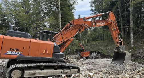 Cansiglio, Zanoni: “Strage di alberi per far posto ad una strada”