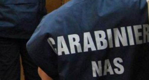 Roditori, escrementi e falso biologico: sequestrate 100 tonnellate di cibo 