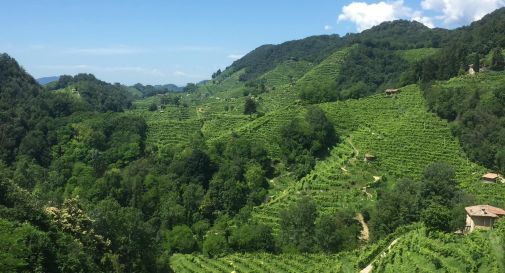 bando per logo cammino colline Unesco 