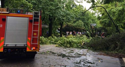 Tromba d'aria devasta Conegliano, sciacalli al mercato