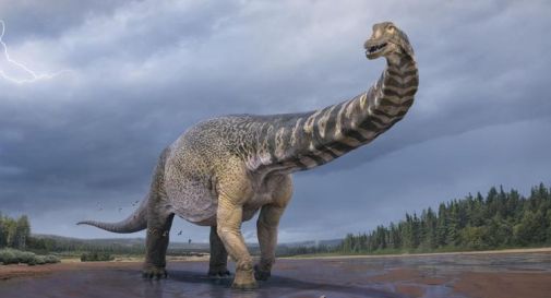 Un dinosauro lungo come un campo da basket, la scoperta