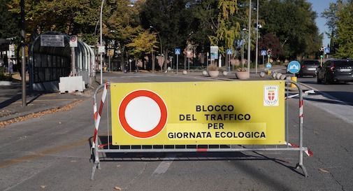 domenca ecologica