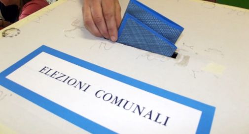 Elezioni, domenica si vota a Treviso: ecco la scheda elettorale