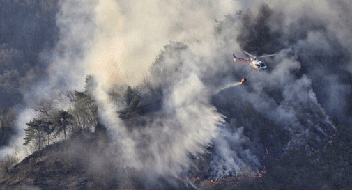 Dichiarato lo stato di grande pericolosità per incendi boschivi in provincia di Treviso