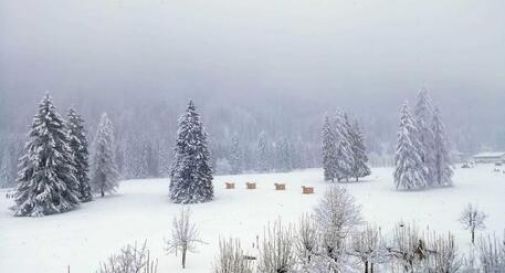 Maltempo: nevica in regione, imbiancate anche le città