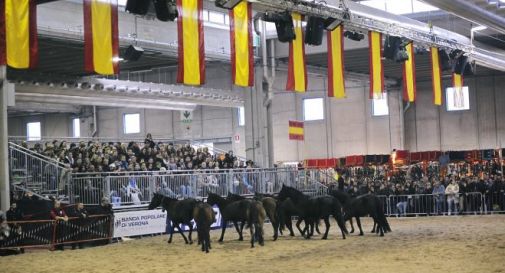 Studenti dell’Istituto Agrario Sartor premiati a Fieracavalli