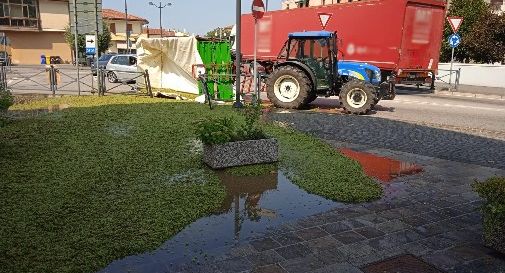 Oderzo, la Polizia locale: 