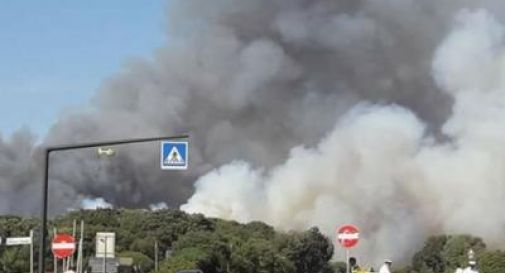 Roma, incendio in pineta a Ostia: traffico in tilt