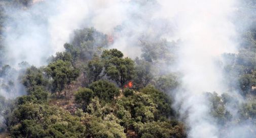 Incendi, Protezione civile: 