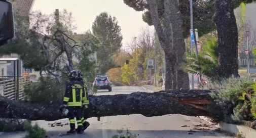 Ondata di maltempo nel vicentino, danni nel capoluogo berico  