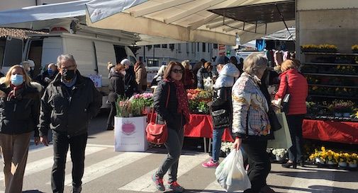 mercato treviso 