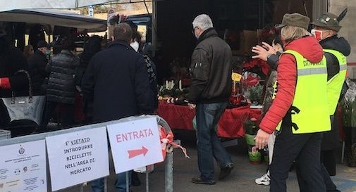 mercato Treviso