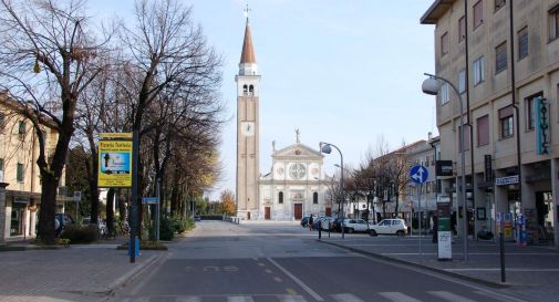 Cadono mentre potano gli alberi del parco