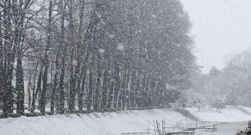 un’immagine della nevicata di stamattina lungo la Livenzetta (Carlo Verardo)