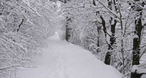 neve monte grappa 