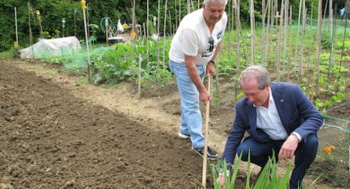 Vorresti un orto? La Provincia assegna 120 lotti da coltivare allo Storga