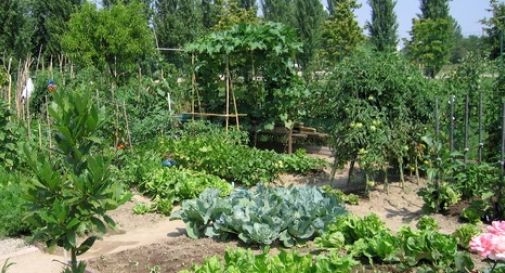 Castelcucco, bando per gli orti sociali